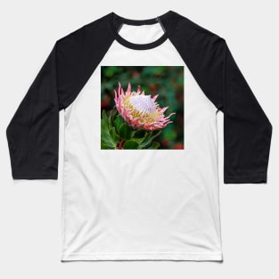 Magnificent Flowering King Protea Baseball T-Shirt